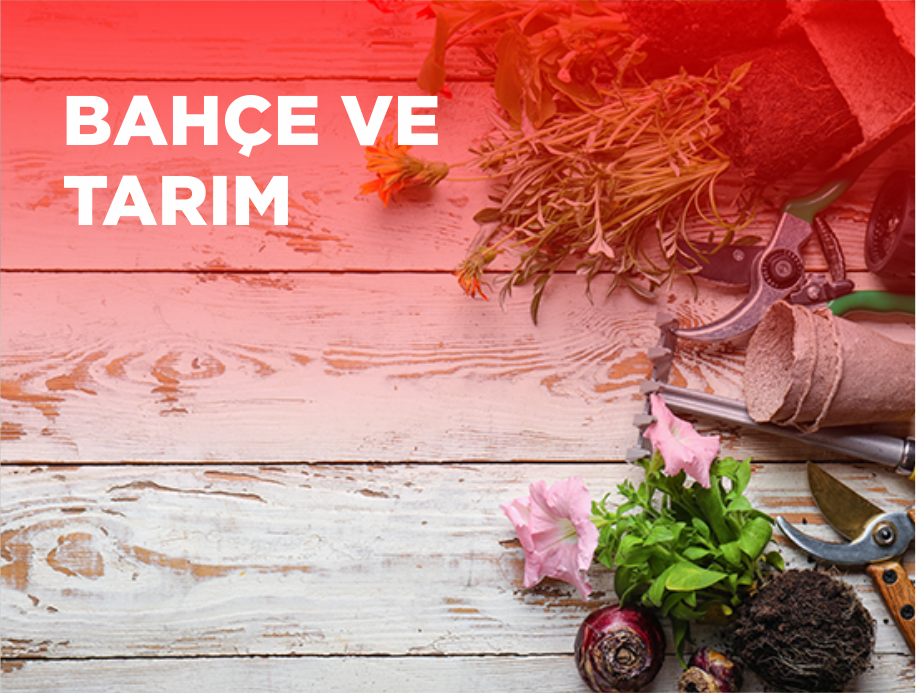 Bahçe ve Tarım